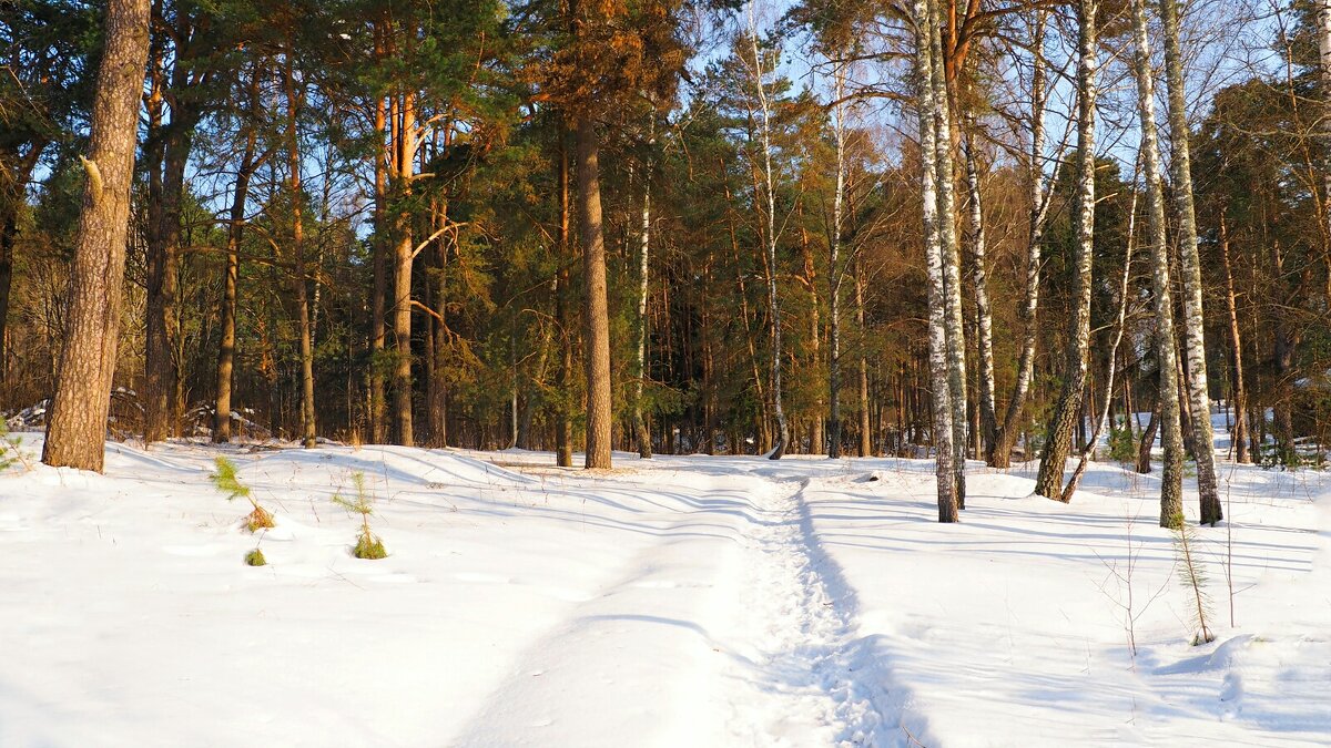 Картинка первого дня весны. - Милешкин Владимир Алексеевич 
