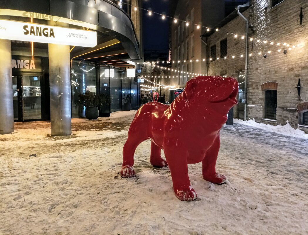 Вечерняя прогулка - Veera V