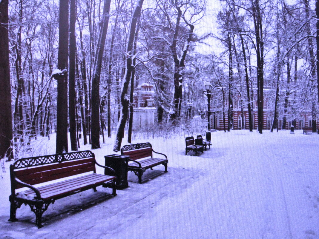 В парке - Людмила Смородинская