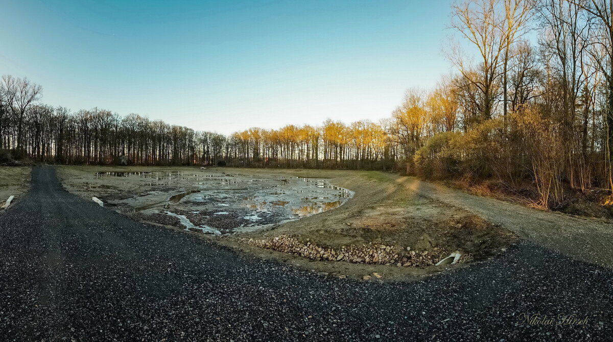 Новообразование... - Николай Гирш Новообразование... - Николай Гирш