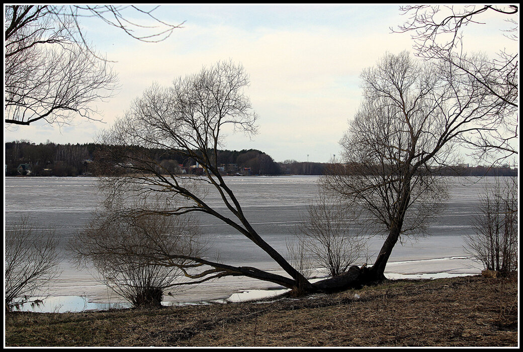 *** - Aleksandr Gal *** - Aleksandr Gal