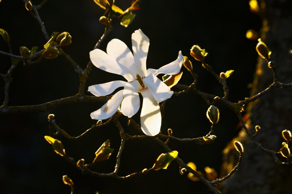 Доброе утро - Юрий. Шмаков