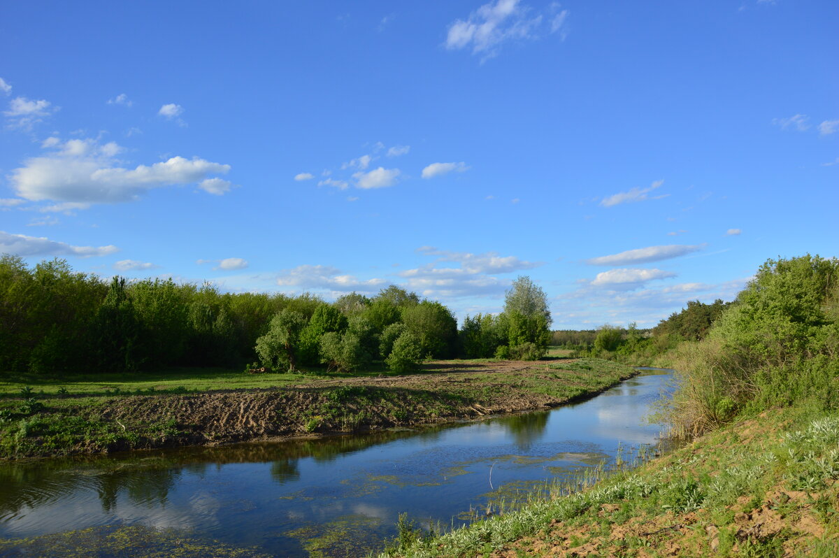 Вечер у реки. - Виктор Вечер у реки. - Виктор