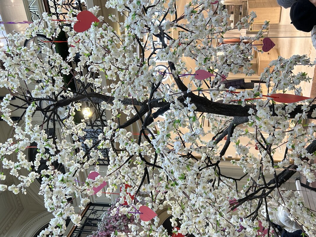 В ГУМе - Натали 