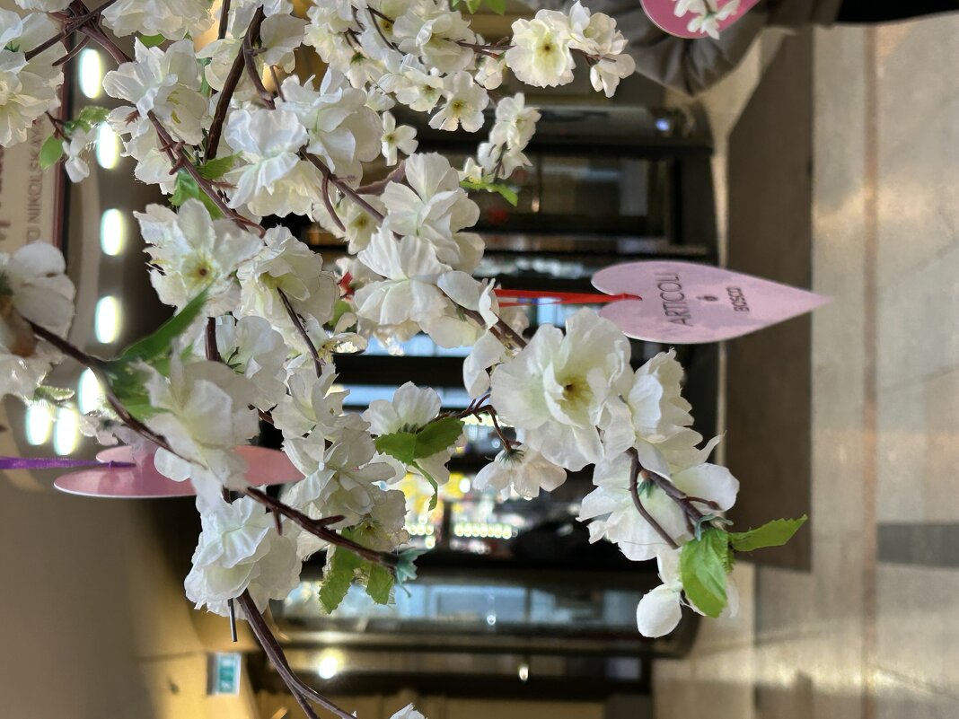 ГУМ - Натали 