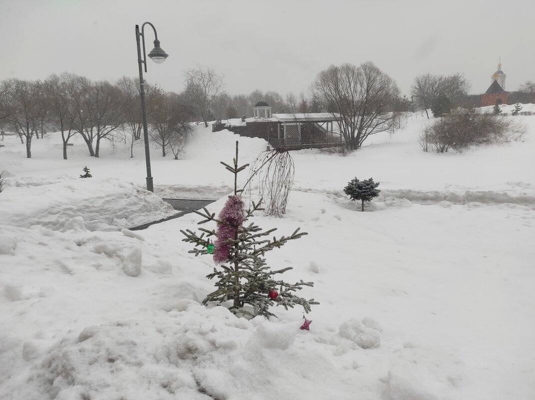 "Мы в пух и прах наряжали тебя..." - Игорь Ч.