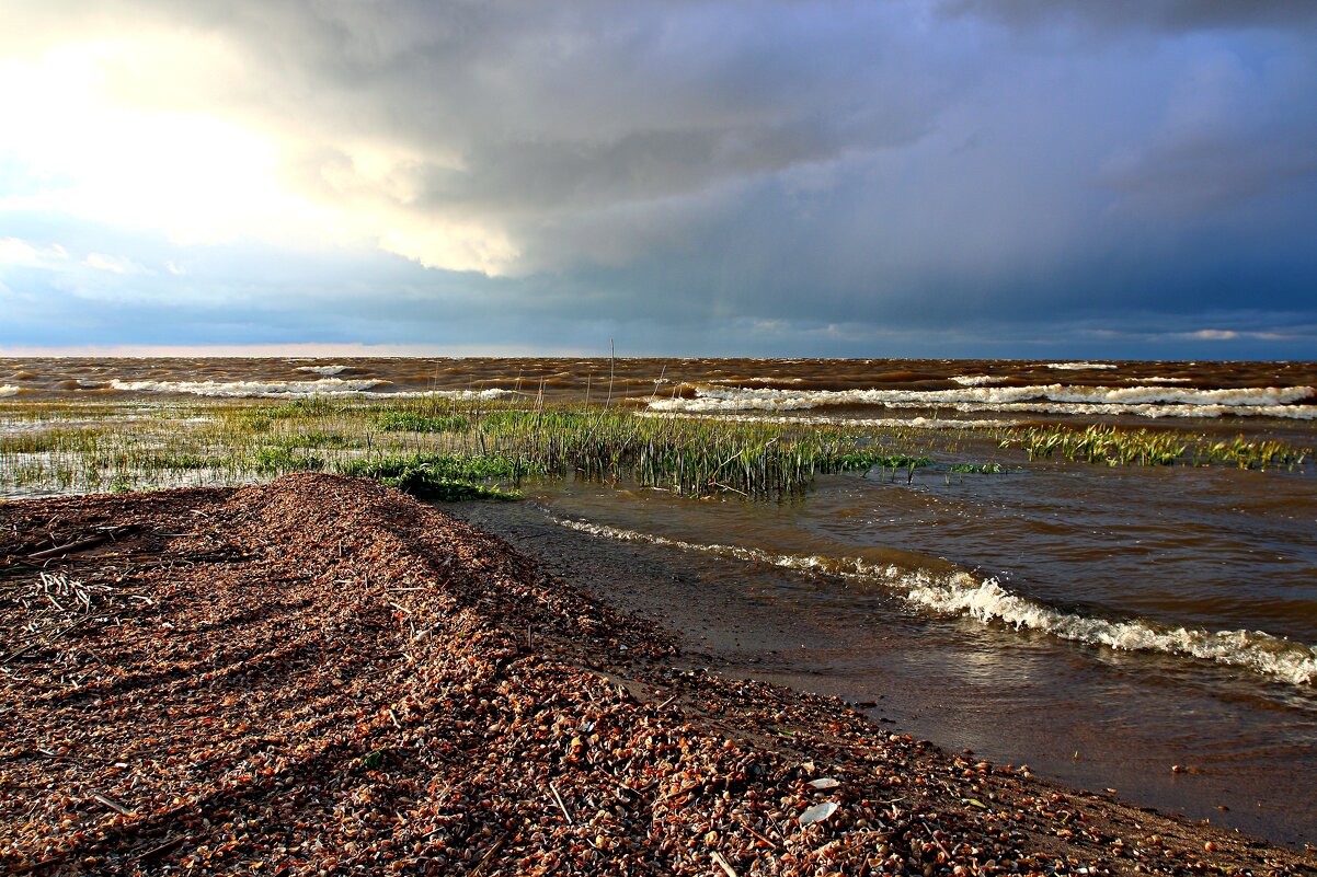 Контрасты природы - В.И 