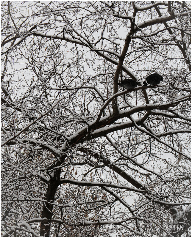 Марток - Михаил Кобзев