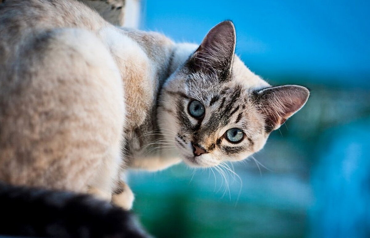 Каспер..Взгляд - Александр Герасенков