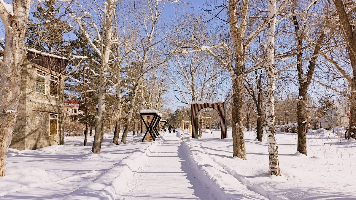 Солнце , воздух и .., зима ! - Мила Бовкун