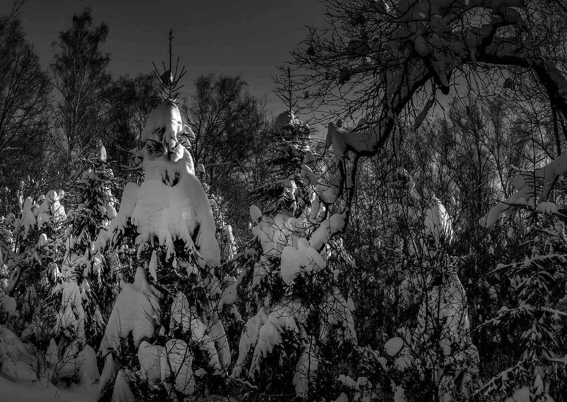 лесной страж - Va-Dim ...