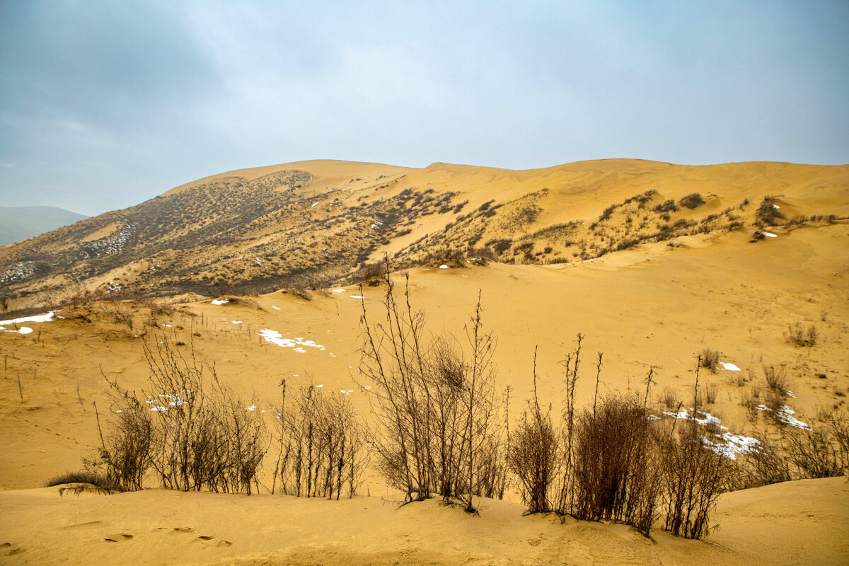 Пустыня зимой. Бархан Сарыкум. Дагестан. - Дина Евсеева