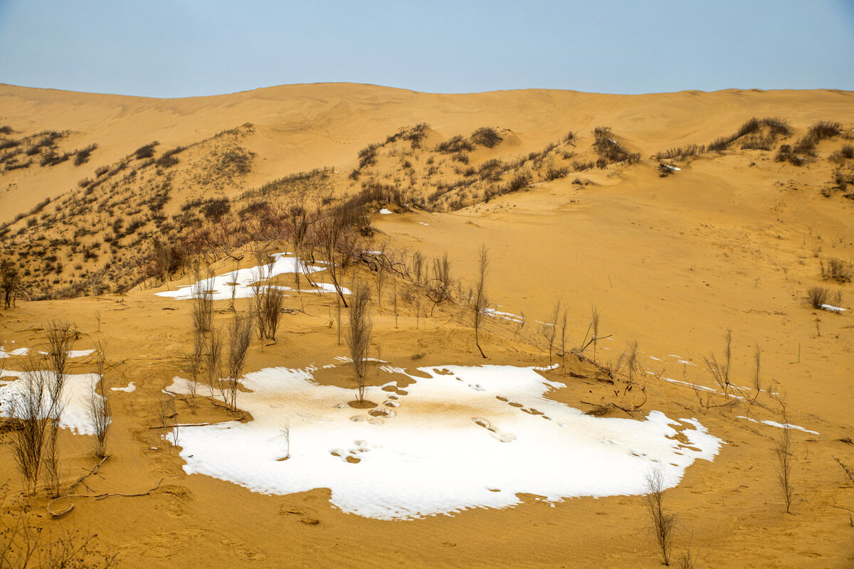 Пустыня зимой. Бархан Сарыкум. Дагестан. - Дина Евсеева Пустыня зимой. Бархан Сарыкум. Дагестан. - Дина Евсеева