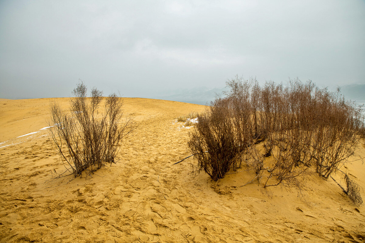 Пустыня зимой. Бархан Сарыкум. Дагестан. - Дина Евсеева Пустыня зимой. Бархан Сарыкум. Дагестан. - Дина Евсеева