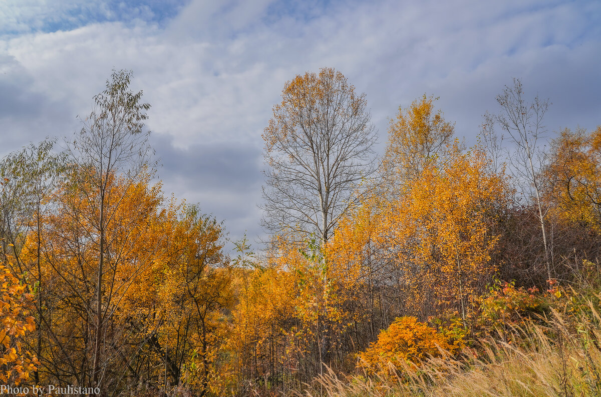 Под небом октября... - Владимир Жданов Под небом октября... - Владимир Жданов