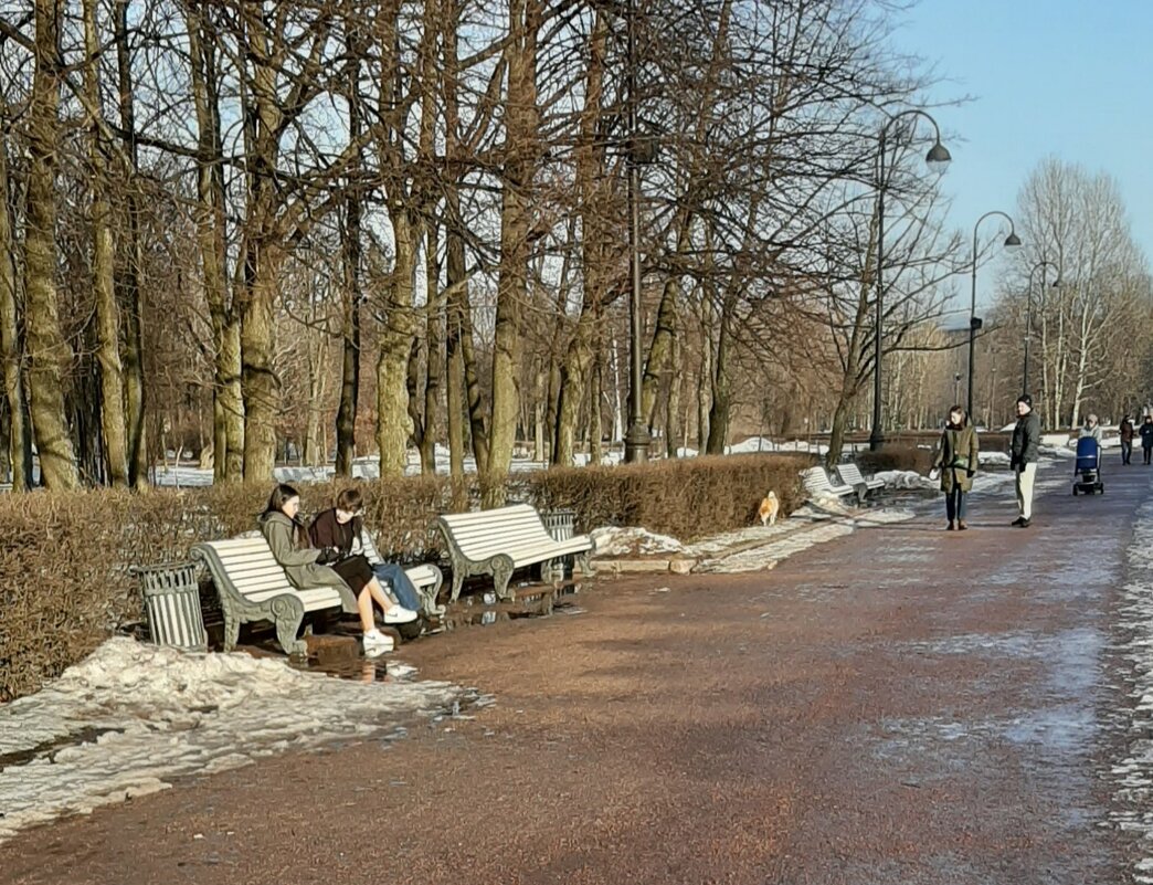 Март - Наталья Герасимова