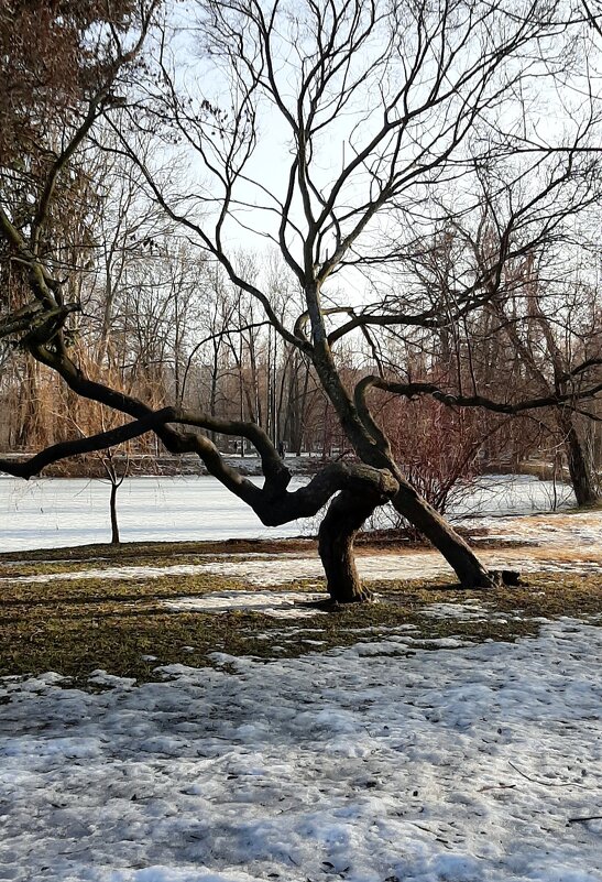 Март - Наталья Герасимова Март - Наталья Герасимова