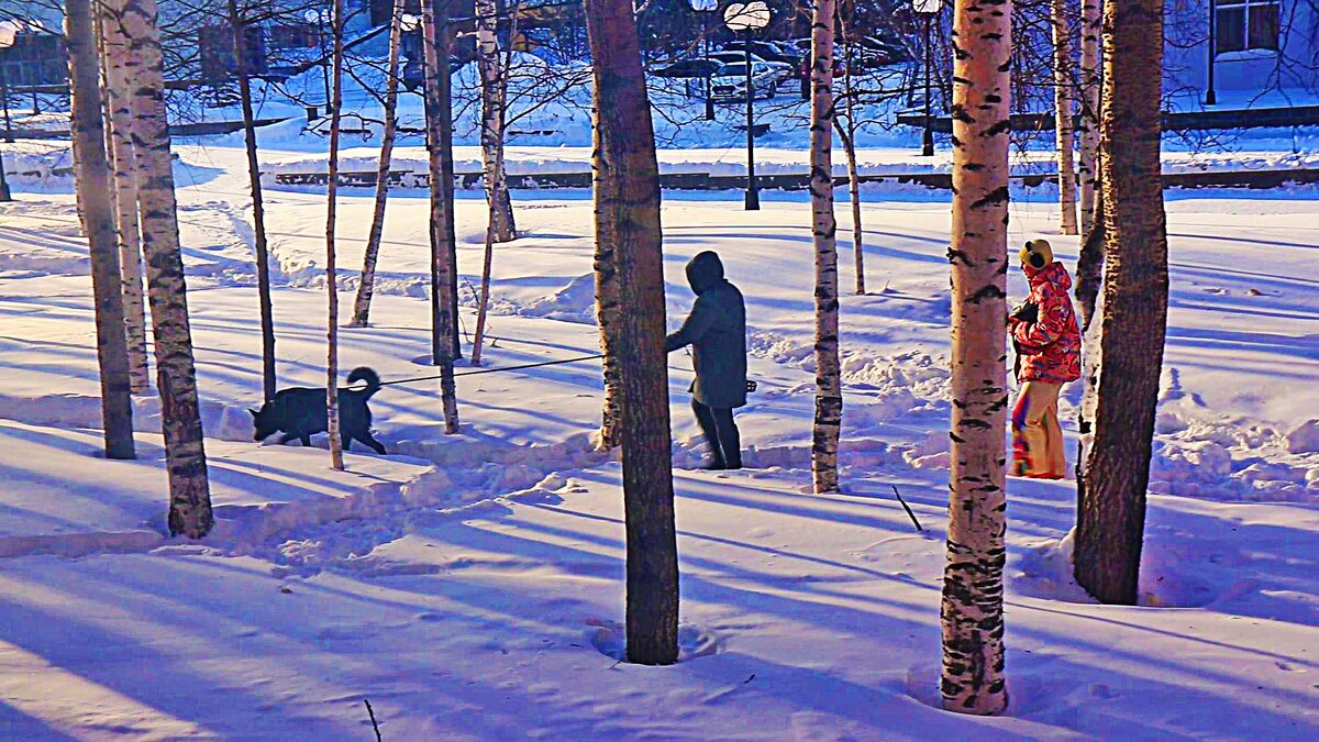 Март...В заснеженном сквере с собакой! - Владимир 