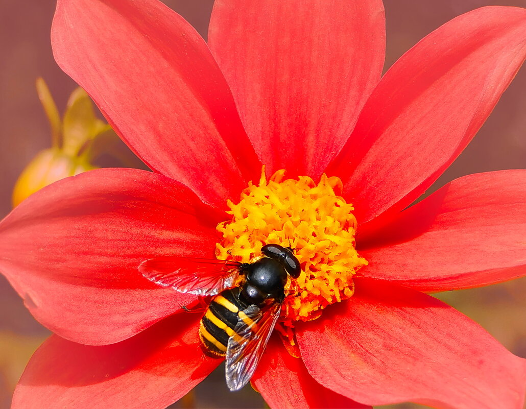 Солнечный этюд. - Марина Леонидовна