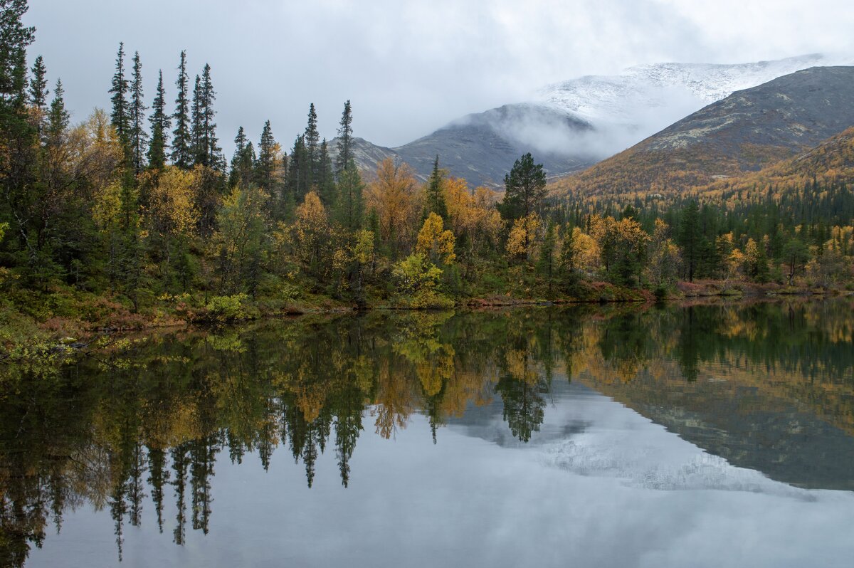 Первый снег....... - Юрий Цыплятников Первый снег....... - Юрий Цыплятников