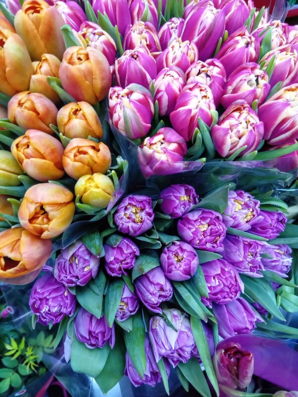 Весна - Лариса С.