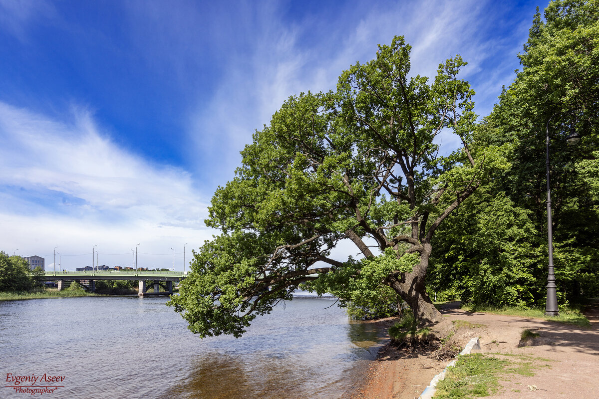 Не сдается! - Евгений 