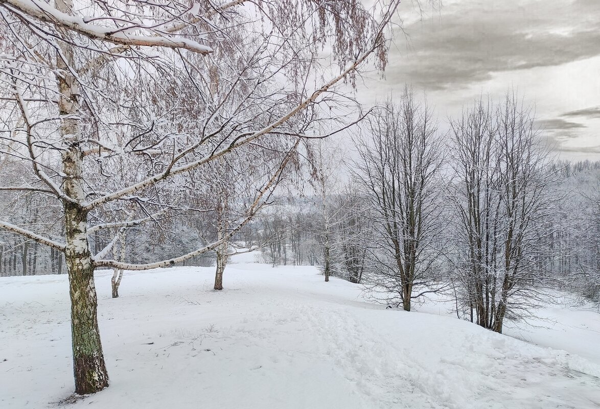 Март,но зима не сдаётся ... - Ravile 