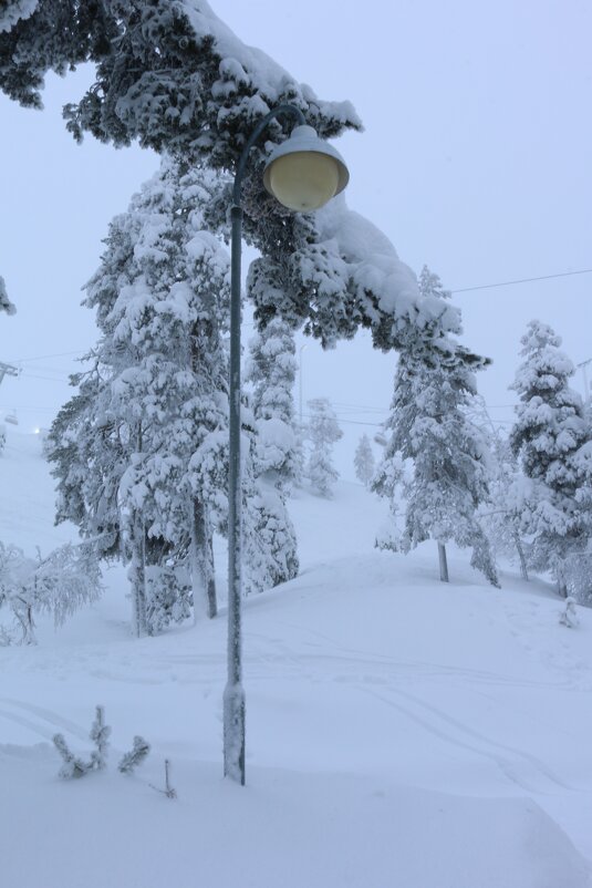 Фонари Пухатунтури - Ольга 