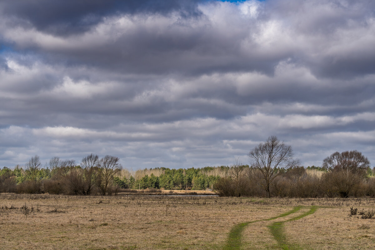 Ранняя весна Беларусь 2020 - Игорь Сикорский