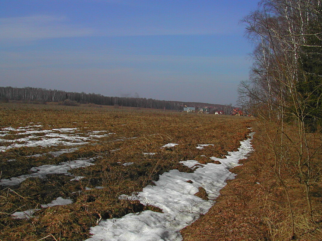 Троицк - Tata Wolf