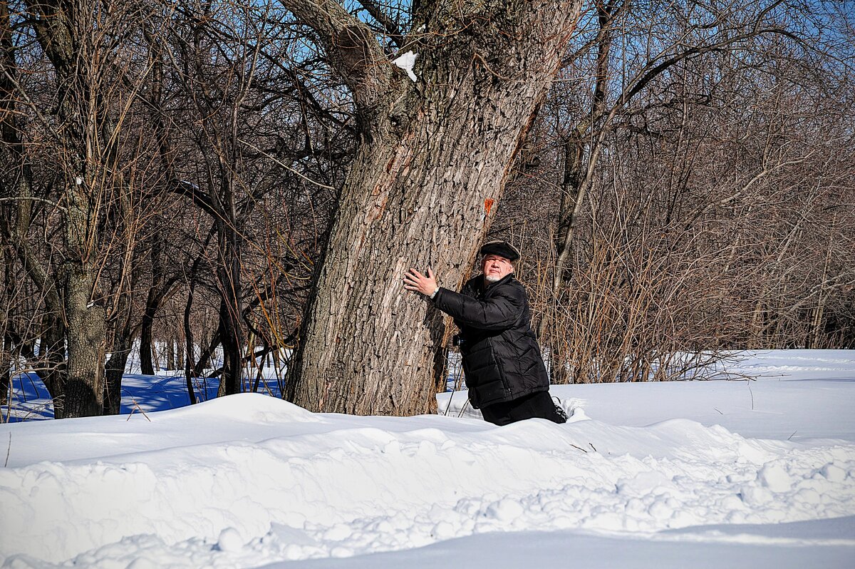 И ответил вяз мне , ищи свою любимую,,, - Анатолий Колосов