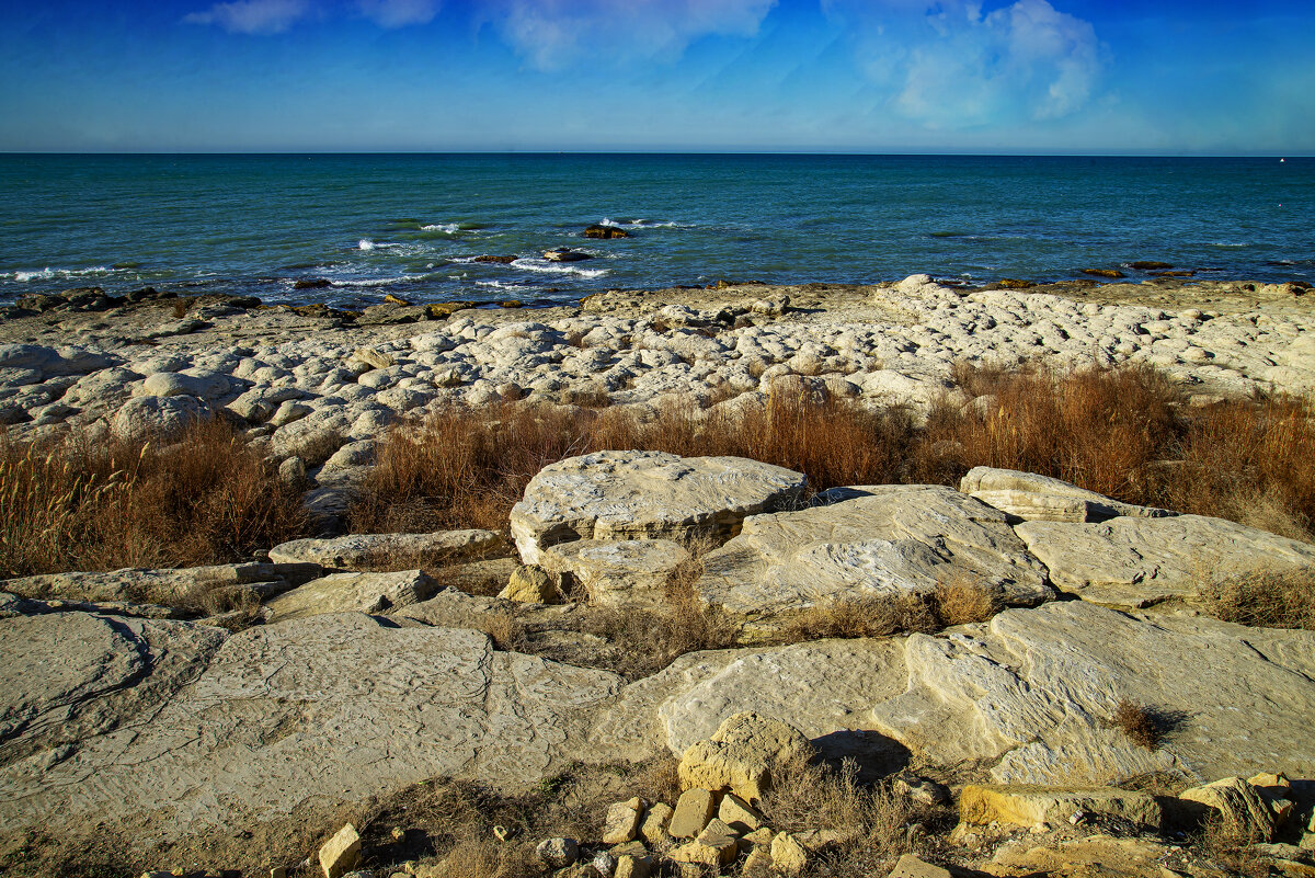 Берг Каспия - Анатолий Чикчирный
