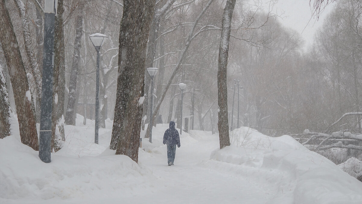 Непогода в Городе - юрий поляков