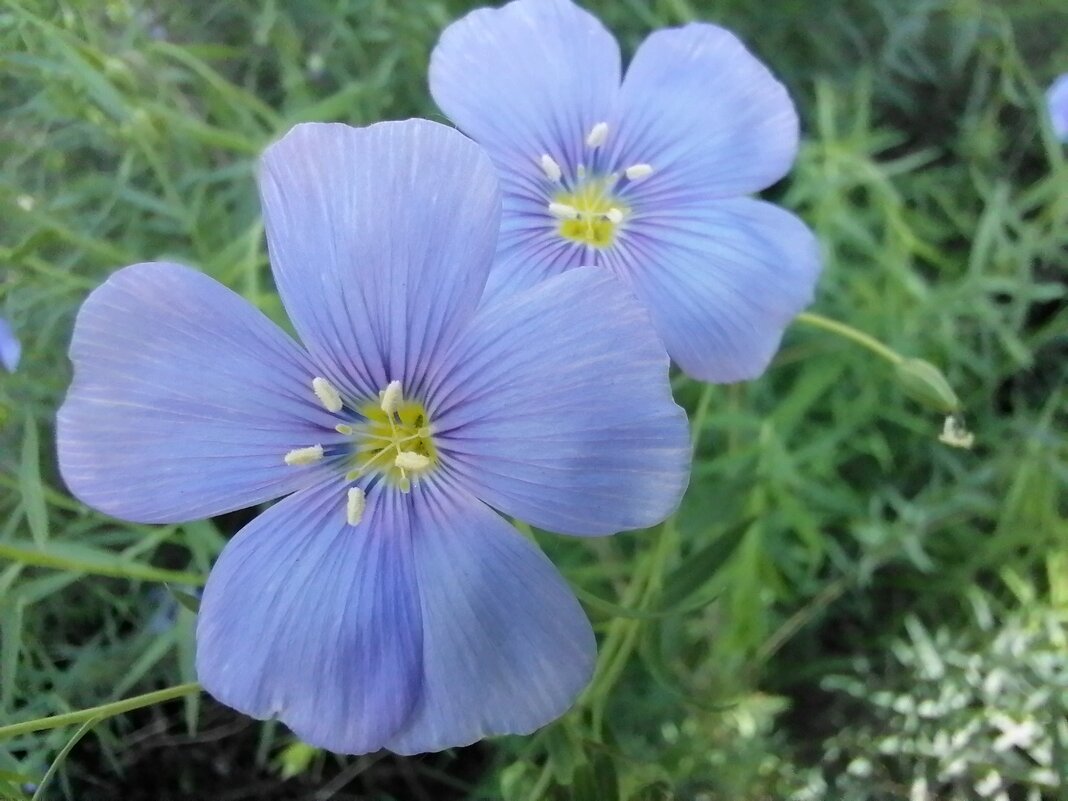 ,,, - Сергей Тимоновский