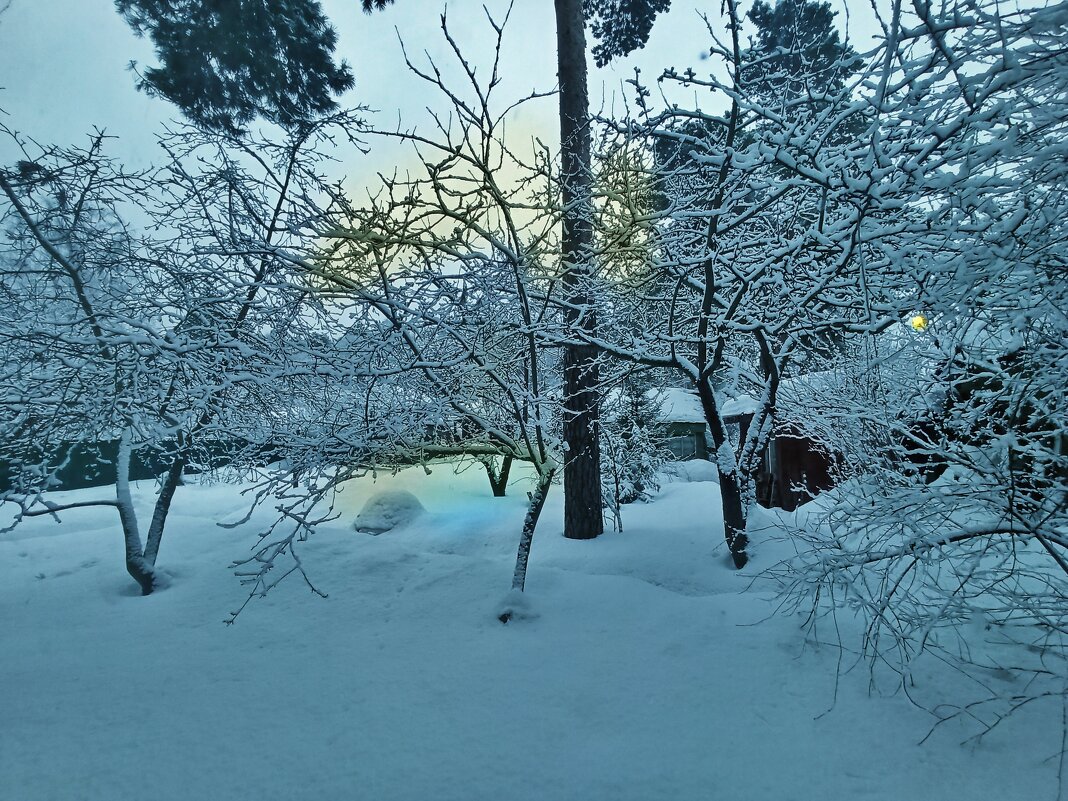 Зима снова вернулась! - veilins veilins