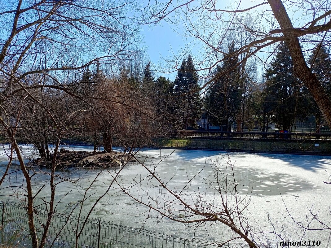 Март в ростовском зоопарке - Нина Бутко
