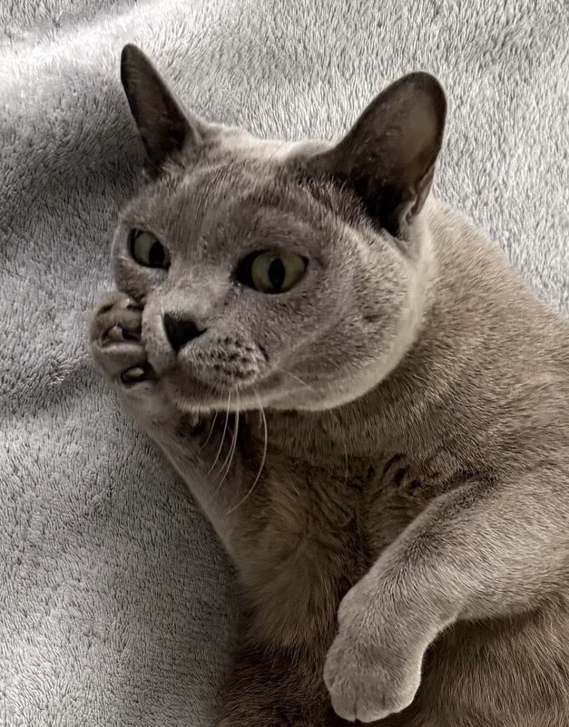 Что бы ещё придумать? - Сергей Б.