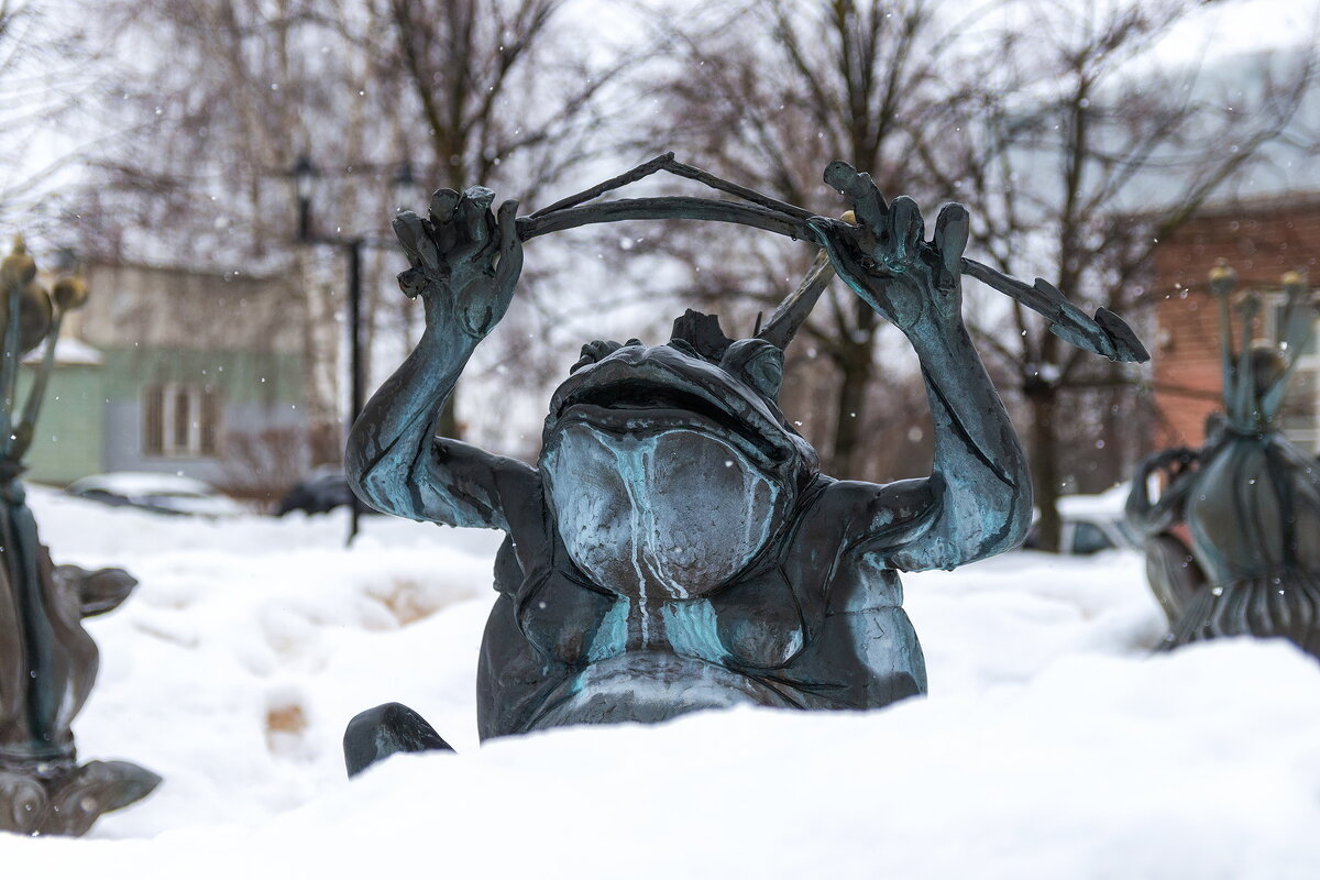 Зимние лягушки. - Анатолий. Chesnavik.