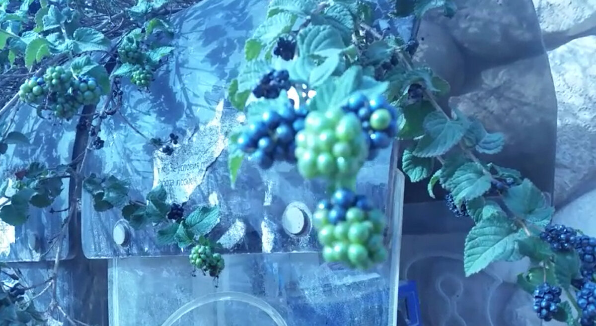 115 (159) - CLOSE WAYS ALL