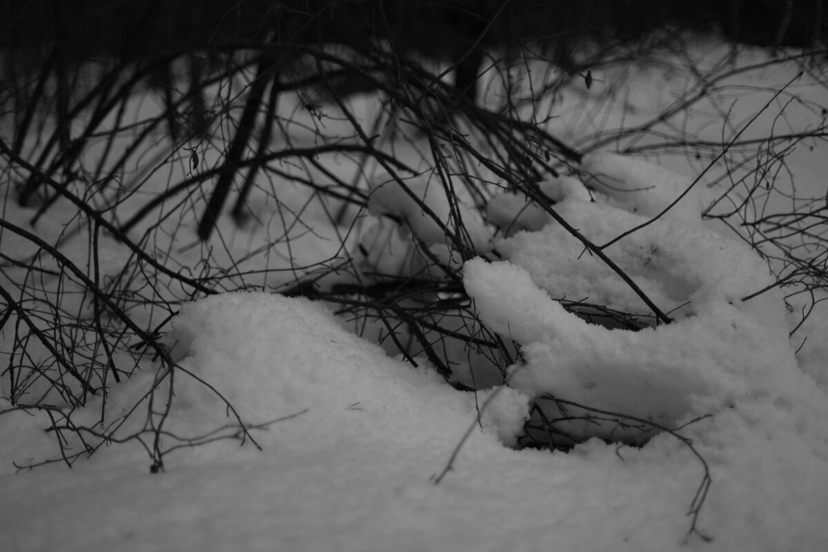 Мечты о ч/б Лейке 37. - Михаил Елочкин