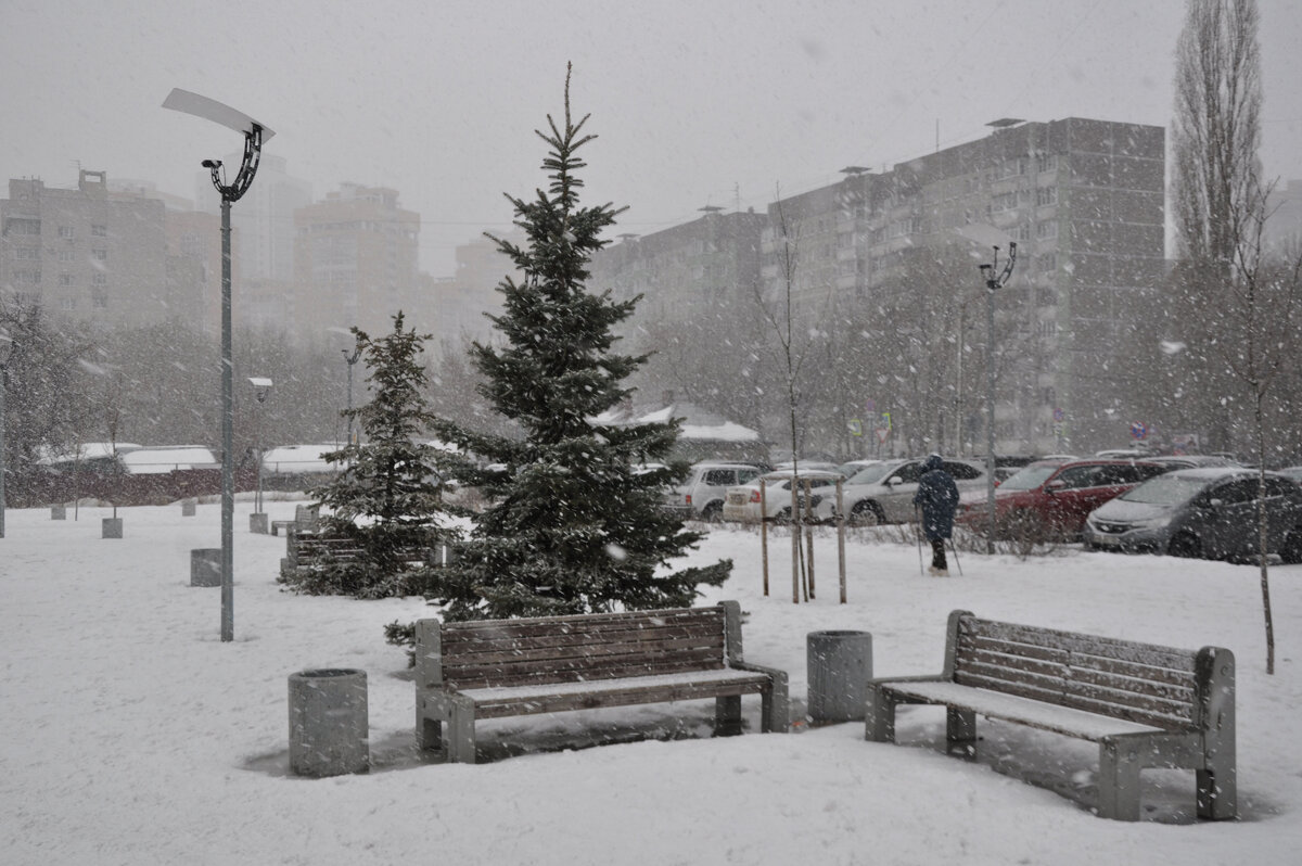 Опять снегопад - Татьяна Машошина