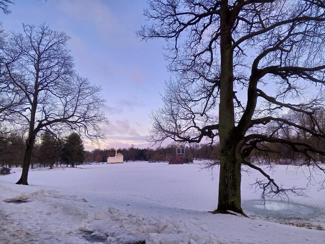 Рассвет - Сапсан 