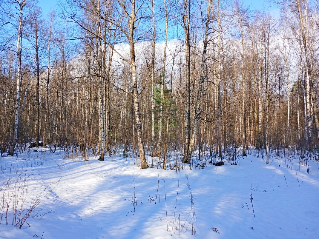 Мартовский снег - Лия ☼