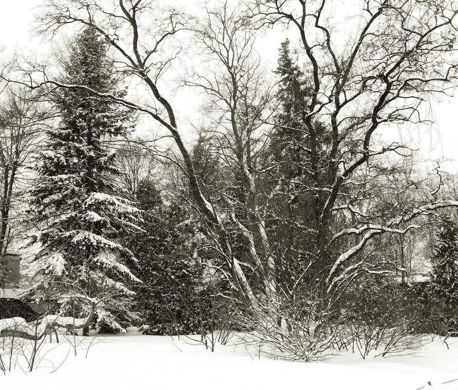 Снежный февраль - Лидия Бусурина