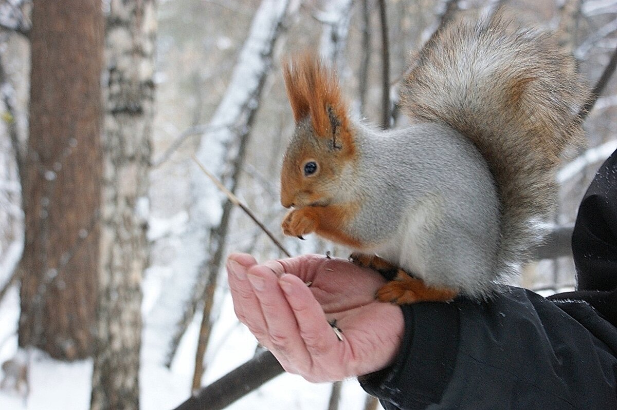 Никто не помешает... - Галина Нестратова
