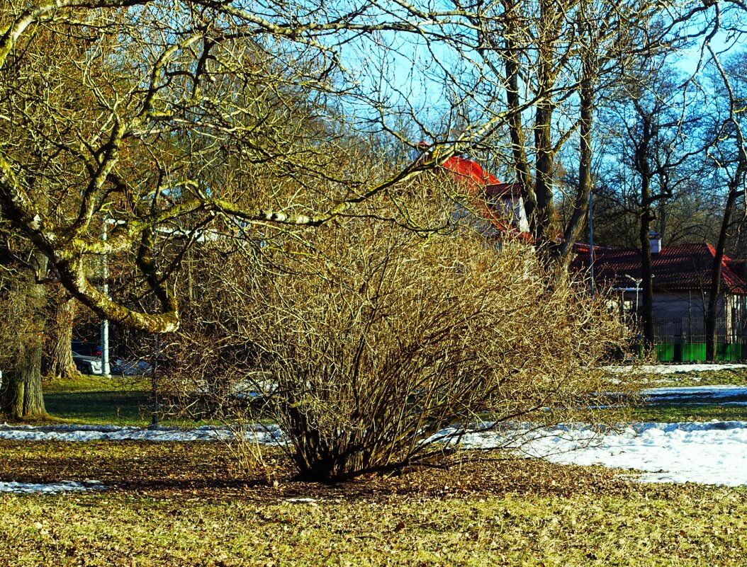 Парк около моря - Aida10 