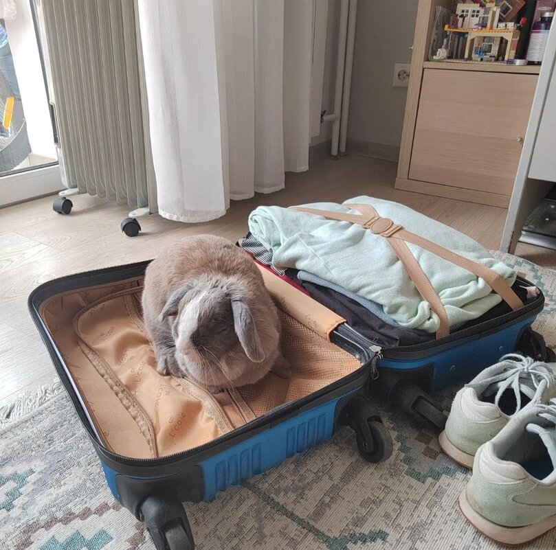 . - Алексей Неустроев