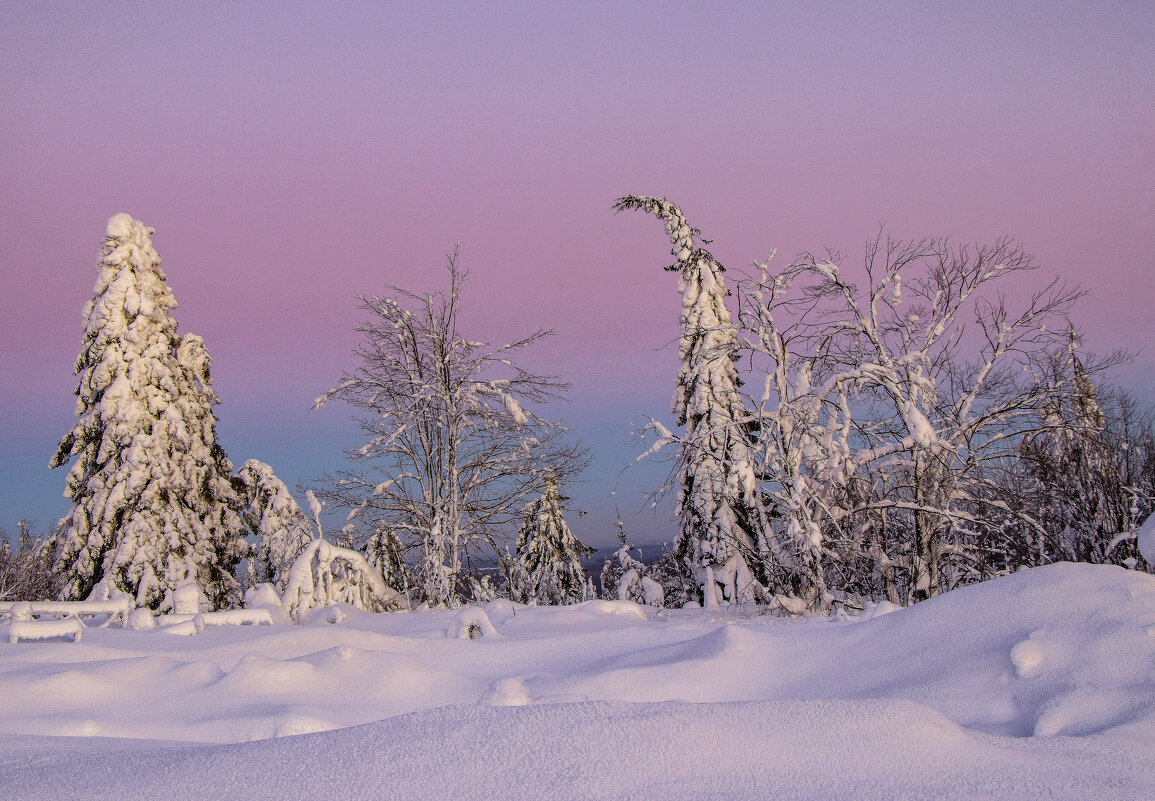 Розовый вечер - Галина Новинская