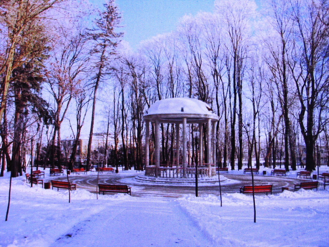 В парке - Людмила Смородинская