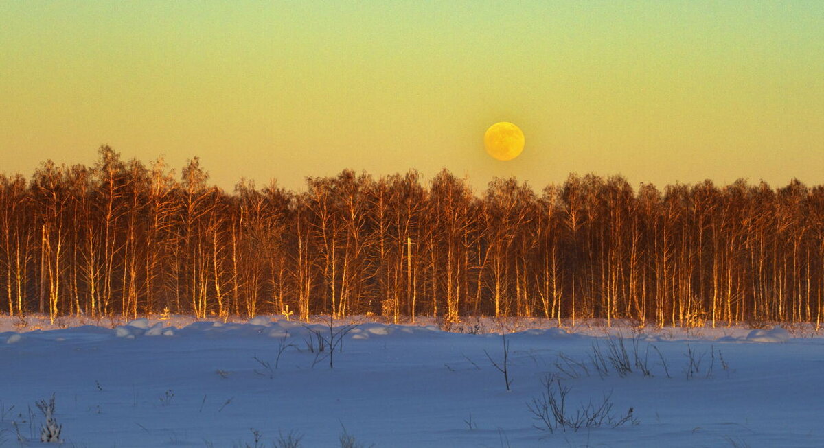 вЕЧЕРЕЛО - Олег Денисов